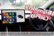 特斯拉是什么车载系统_特斯拉是carplay吗