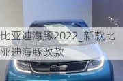 比亚迪海豚2022_新款比亚迪海豚改款