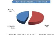 上海汽车保有量为什么低-上海汽车保有率