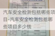 汽车安全检测包括哪些项目-汽车安全检测包括哪些项目多少钱