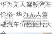 华为无人驾驶汽车价格-华为无人驾驶汽车价格图片大全