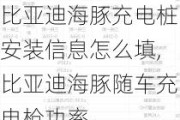 比亚迪海豚充电桩安装信息怎么填,比亚迪海豚随车充电枪功率