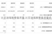 比亚迪海豚整备质量,比亚迪海豚整备质量多少吨