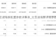 比亚迪海豚配置参数详解表_比亚迪海豚详细参数配置