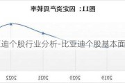 比亚迪个股行业分析-比亚迪个股基本面分析