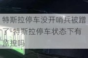 特斯拉停车没开哨兵被蹭了-特斯拉停车状态下有监控吗