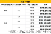 特斯拉小鹏p7多少钱_小鹏P7多少钱