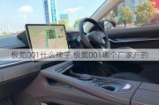 极氪001什么牌子,极氪001哪个厂家产的