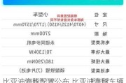 比亚迪海豚配置公布,比亚迪海豚车辆型号填什么