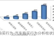 汽车购买行为-汽车购买行为分析柱状图