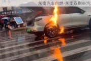 东南汽车自燃-东南双燃料汽车