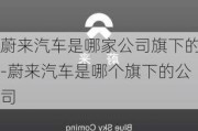 蔚来汽车是哪家公司旗下的-蔚来汽车是哪个旗下的公司