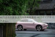 40万左右的新能源汽车吉利有哪些-40万左右的新能源汽车suv