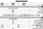 比亚迪海鸥尺寸-比亚迪海鸥续航公里数