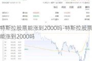 特斯拉股票能涨到2000吗-特斯拉股票能涨到2000吗