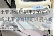 比亚迪海豚能用220充电吗,比亚迪海豚可以慢充吗是真的吗