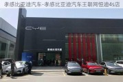 孝感比亚迪汽车-孝感比亚迪汽车王朝网恒迪4s店