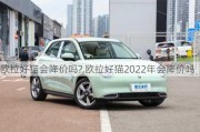 欧拉好猫会降价吗?,欧拉好猫2022年会降价吗