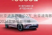 比亚迪海豚降价2万_比亚迪海豚2024款销量排行榜