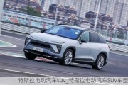 特斯拉电动汽车suv_特斯拉电动汽车SUV车型