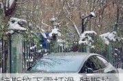 特斯拉下雪打滑-特斯拉雪天打滑自动加速怎么回事