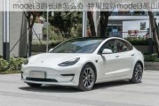 model 3跑长途怎么办-特斯拉新model3跑山路