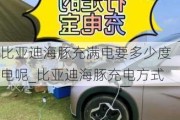 比亚迪海豚充满电要多少度电呢_比亚迪海豚充电方式