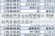 双燃料汽车全部车型报价,双燃料汽车报价及图片