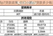 小鹏p7贷款政策_你们小鹏p7贷款多少钱买的