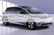 比亚迪海豚新车发布_比亚迪海豚2023款评价怎么样