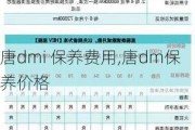 唐dmi 保养费用,唐dm保养价格