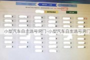 小型汽车自主选号窍门-小型汽车自主选号窍门