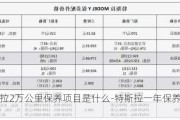 特斯拉2万公里保养项目是什么-特斯拉一年保养费多少