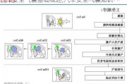 汽车安全气囊基础概述,汽车安全气囊知识