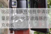 比亚迪海豚充电桩申请容量是多少_比亚迪海豚的充电桩