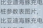 比亚迪海豚充电桩参数表图片,比亚迪海豚充电桩参数表