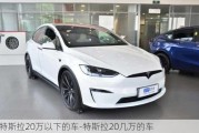 特斯拉20万以下的车-特斯拉20几万的车