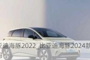 比亚迪海豚2022_比亚迪海豚2024款有消息吗