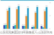 山东时风集团2019年销售收入-山东时风电动汽车销量