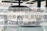 欧拉好猫续航达到500公里适合跑长途吗_欧拉好猫续航400实际能跑多少