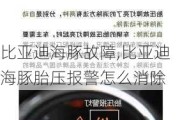 比亚迪海豚故障,比亚迪海豚胎压报警怎么消除