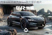 小米汽车suv,小米汽车suv图片报价图片