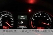 油表盘fe是什么意思_汽车油表fe是什么意思