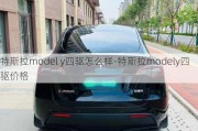 特斯拉model y四驱怎么样-特斯拉modely四驱价格