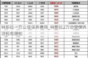 特斯拉一万公里保养费用_特斯拉2万公里保养项目有哪些