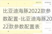 比亚迪海豚2022款参数配置-比亚迪海豚2022款参数配置表