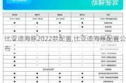 比亚迪海豚2022款配置,比亚迪海豚配置公布