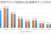 理想汽车公司现状分析,理想汽车公司现状