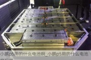 小鹏p5用的什么电池啊_小鹏p5用的什么电池啊***