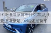 比亚迪海豚属于什么车型,比亚迪海豚是suv吗还是轿车